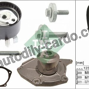 Sada rozvodového řemene s vodní pumpou INA (IN 530019731) Sada rozvodového řemene s vodní pumpou INA (IN 530019731)