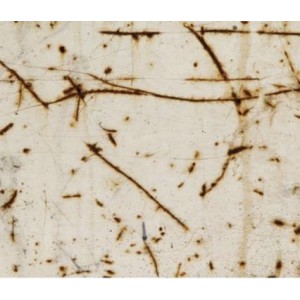 Rezavá TLKR-416 polepová fólie 152x1500cm - interiér/exteriér TLKR-416-150