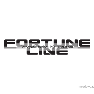 Silentblok motoru (FORTUNELINE FZ90621) 4161567 Silentblok motoru (FORTUNELINE FZ90621) 4161567