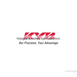 Pružiny pérování (KAYABA RA6669) 4402705 Pružiny pérování (KAYABA RA6669) 4402705