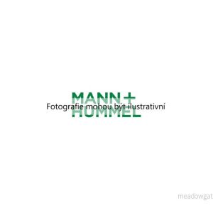 Vzduchový filtr (MANN+ C 17 237/1) 3900785