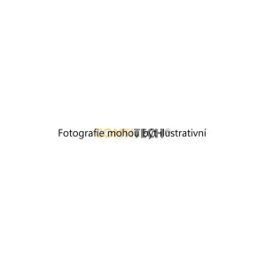 Ozubený klínový řemen (CONTITECH 5PK1125) 1635455 Ozubený klínový řemen (CONTITECH 5PK1125) 1635455